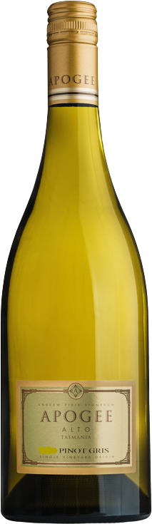 Apogee Alto Pinot Gris 2024 Tasmania